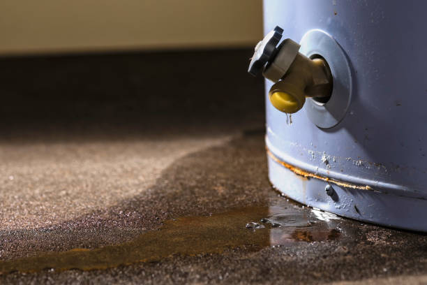 Best 24-hour water damage restoration  in China, TX
