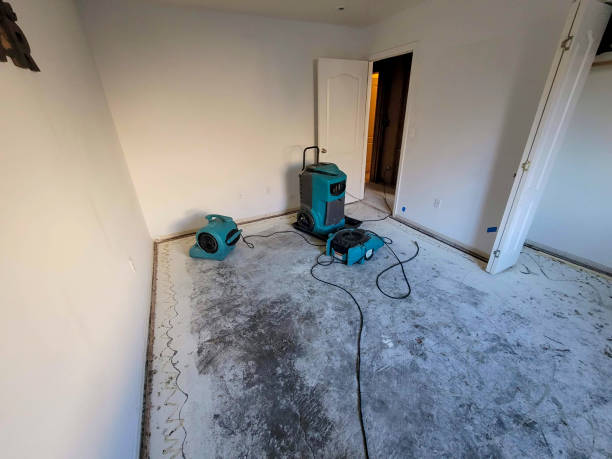 Best Water damage mitigation services  in China, TX