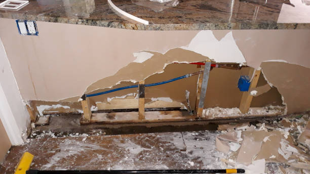 Best Basement water damage restoration  in China, TX