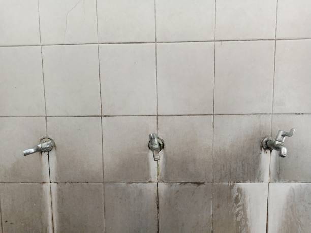 Best Carpet water damage restoration  in China, TX