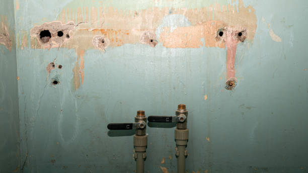 Best Water damage restoration services  in China, TX