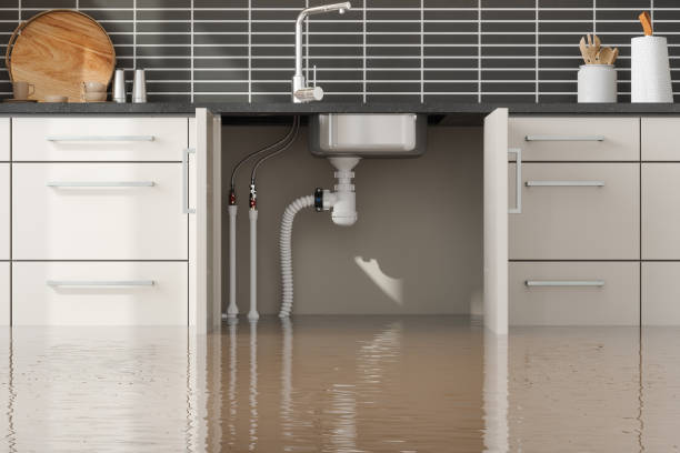 Best Water damage contractors near me  in China, TX