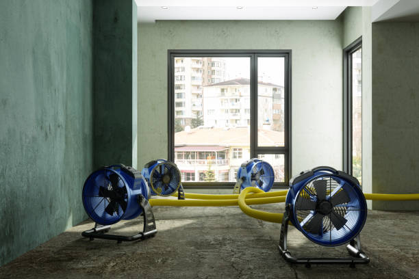 Best 24/7 water damage repair  in China, TX